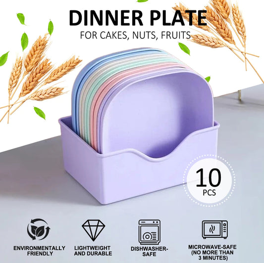 10pcs Plates Set With Holder